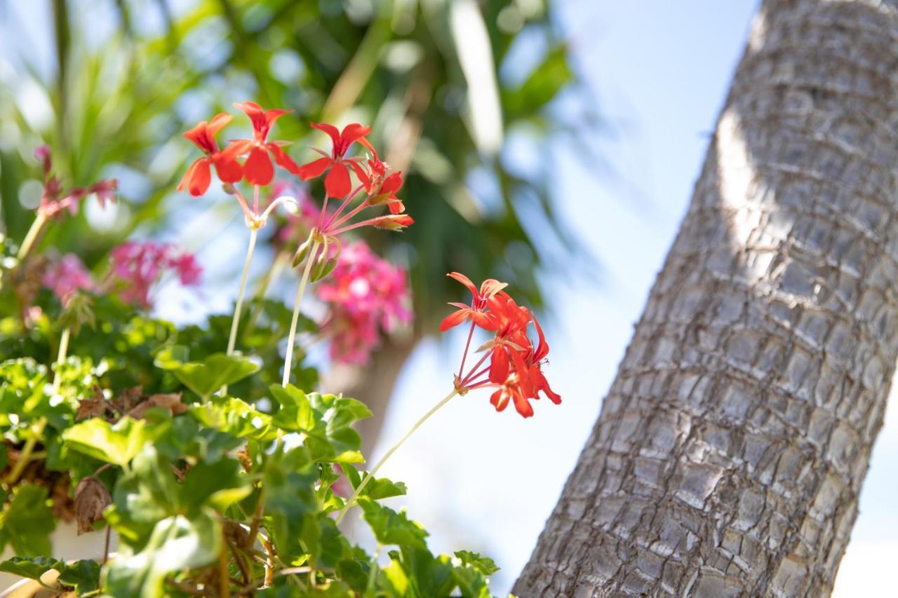 La Lantana Villa Marina di Ragusa Dış mekan fotoğraf